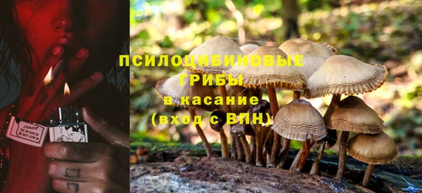 эйфоретик Гусиноозёрск
