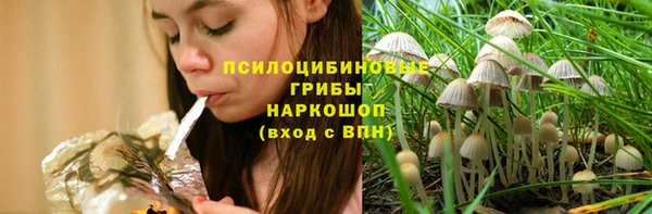 соль курить ск Гусь-Хрустальный