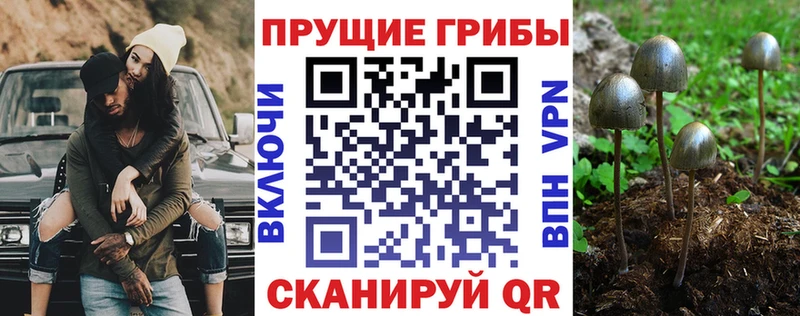 Галлюциногенные грибы ЛСД Пошехонье