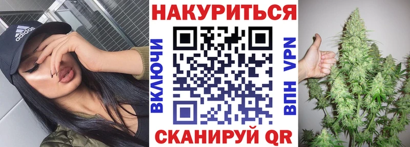 Конопля сатива  Пошехонье 